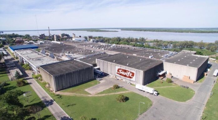 Swift obtuvo 3.510 toneladas y volvió a liderar las exportaciones de carne premium