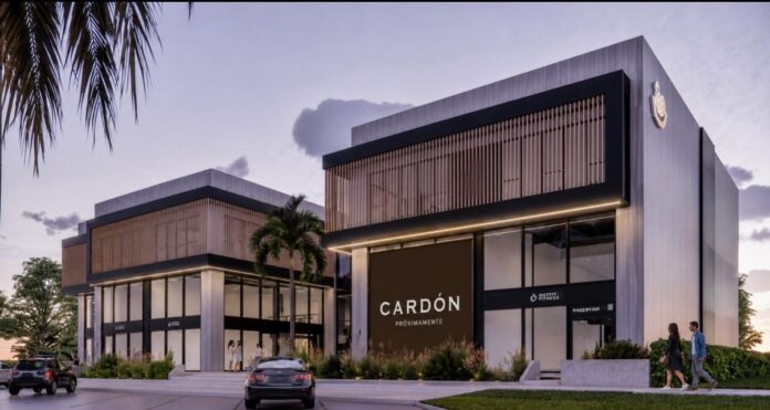 cardon 1
