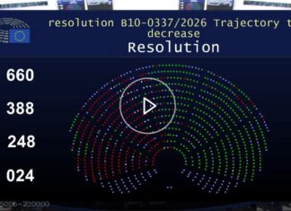 La Unión Europea da marcha atrás con una norma clave y Argentina mantiene abierto el mercado para el biodiésel de soja