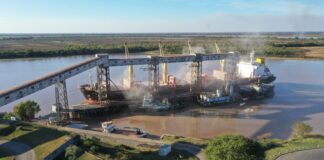 Puerto de Villa Constitución: dos empresas compiten por una concesión con inversiones de hasta US$ 4,5 millones