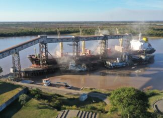 Puerto de Villa Constitución: dos empresas compiten por una concesión con inversiones de hasta US$ 4,5 millones