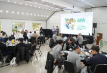 AFA debutó con un remate de 1.200 cabezas en Aapresid 2026 y vendió más del 95% de la hacienda