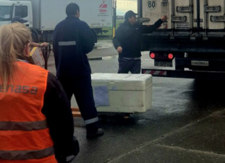Primera carga cárnica importada: el Aeropuerto de Rosario amplía su perfil logístico