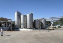 Vicentin eleva a US$3,5 millones su oferta por ARSA y busca quedarse con sus plantas y marcas