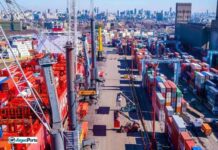 “Un kiosco menos”: Sturzenegger anunció un cambio en Aduana que beneficia a importadores y exportadores
