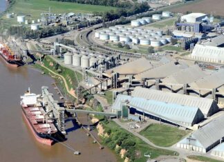 Cuatro terminales del Gran Rosario concentran embarques de biodiésel por casi 50.000 toneladas hacia Europa