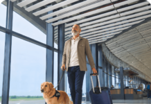 El 60% de los argentinos con mascotas busca alojamientos pet friendly para viajar