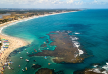 Porto de Galinhas, entre piscinas naturales y playas de agua cálida: una propuesta para empezar a pensar el verano