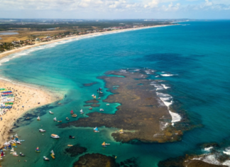 Porto de Galinhas, entre piscinas naturales y playas de agua cálida: una propuesta para empezar a pensar el verano